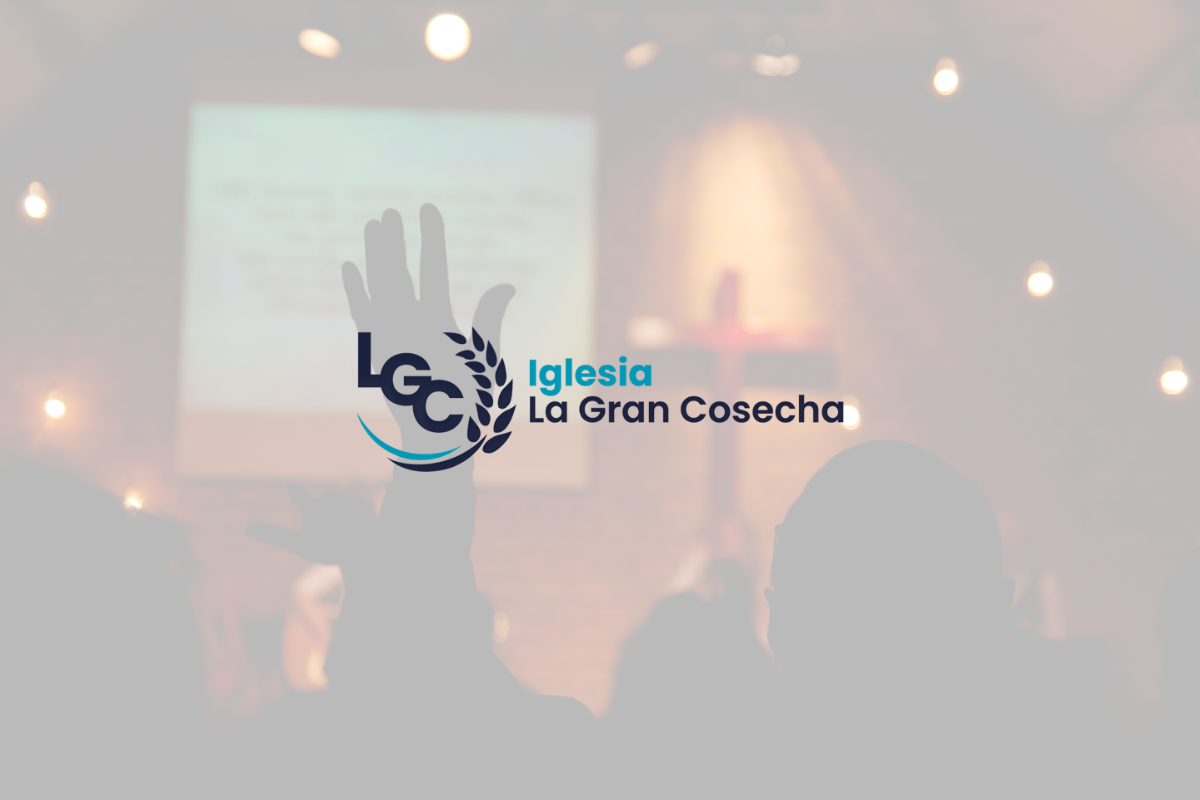 Voluntariado en Panamá: Cómo Servir y Hacer la Diferencia en tu Comunidad